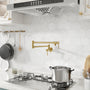 Space-Saving Wall-Mounted Pot Filler with Double Handles and Folding Design