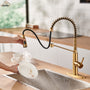 Commercial Style Pull-Down Single Handle 19" Kitchen Faucet