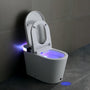 Foam Shield Smart Bidet Toilet with Automatic Lid & Multiple Wash Modes