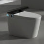 Tankless Black Panel Smart Toilet with Auto Flush, Heated Seat & Bidet Functions