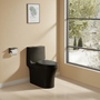 1.1/1.60 GPF Elongated Dual-Flush Floor Mounted One Piece Toilet