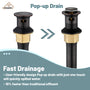 Casainc 2-Handle Centerset Bathroom Faucet for Bathroom Sink Vanity Faucet 360° Swivel Spout