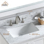 CASAINC Bathroom Vanity 60 x 22 x 35.4 with 1.2" Thickness Countertop & Backsplash, Bothe Side Rectangular Sink, 4 Soft Closing Doors, 2 Dove Tail Drawer Construction, Soft Close Drawer Hinges, Gray, White (With Mirror)