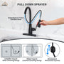 Pull Down Sprayer Kitchen Faucet with Digital Temperature Display