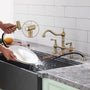 Vintage Dual-Handle Brass Kitchen Faucet with Side Spray