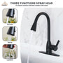 Kitchen Faucet with Pull Down Sprayer Three Function Spray Head