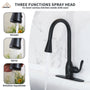 3-Function Spray Head Kitchen Sink Faucet with Pull Down Sprayer