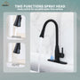 Touchless Kitchen Faucet with Dual Spray 360° Rotation and Pull Down Sprayer