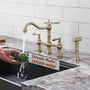 Vintage Dual-Handle Brass Kitchen Faucet with Side Spray