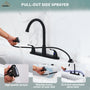 Double Handle Kitchen Sink Faucet with Side Sprayer