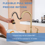 3-Spray Patterns 1.8 GPM Single Handle Pull Down Sprayer Kitchen Faucet with Soap Dispenser