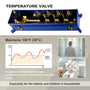 22.56" x 11.22" Flush-Mounted 4-Function Thermostatic Dual Shower Head System