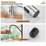 Commercial Style Pull-Down Single Handle 19" Kitchen Faucet