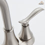 Casainc 2-Handle Centerset Bathroom Faucet for Bathroom Sink Vanity Faucet 360° Swivel Spout